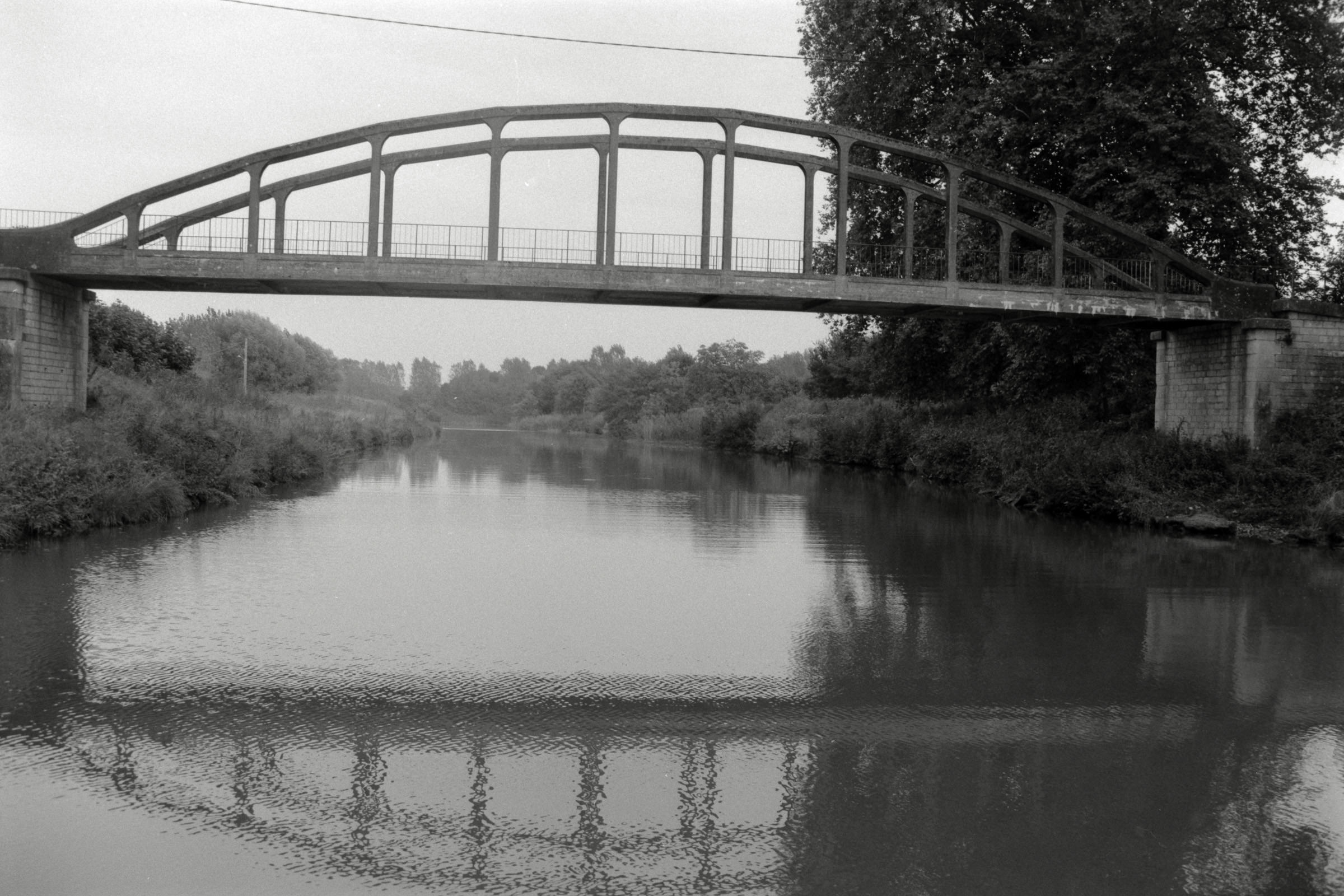 AHP F1990 09 004 sc250506 img02 NLP